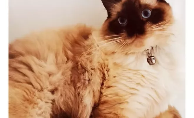 Notre histoire, Peymeinade, By Eugénie